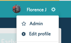 screenshot showing admin option 